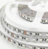 LED лента 24В 2835-120 14,4Вт RGB IP20