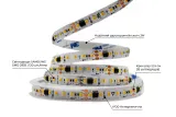 LED лента 24В 2835-120 12Вт 1300Лм SMART RUN WS2811 WW-DW от до 3000К-6000К IP20