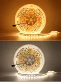 LED лента 24В 2835-120 12Вт 1300Лм SMART RUN WS2811 WW-DW от до 3000К-6000К IP20