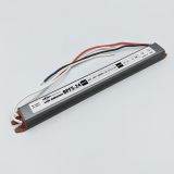 Блок живлення BIOM 12В 24Вт 2А IP67 BPFS-24-12 Stick мет. герм.
