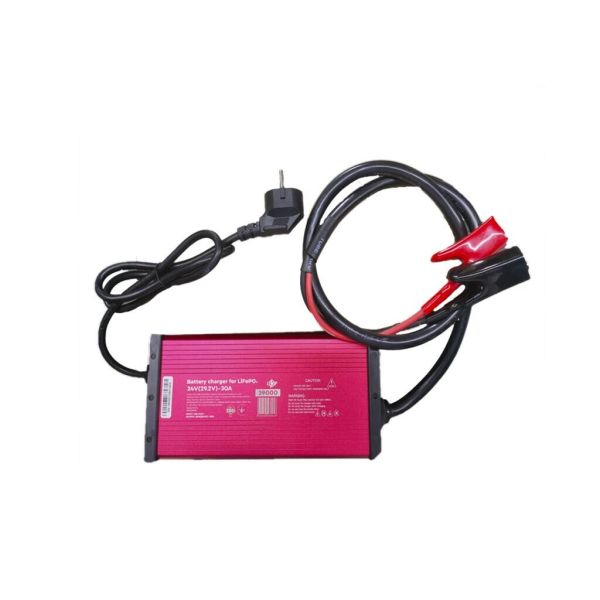 Зарядний пристрій для акумуляторів LiFePO4 24V (29.2V)-30A-876W IP65
