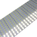 Світлодіодна стрічка СОВ PROLUM™ 12V 480 LED IP20 Series "SG"., Білий (5500-6000К)