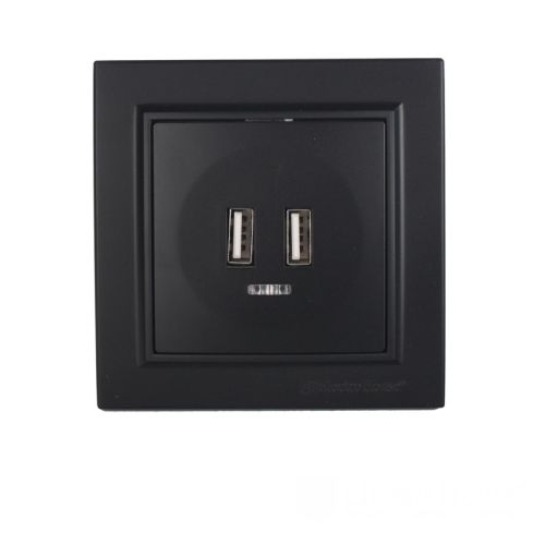 Розетка USB (2 порти) 2A, Enzo бездоганний графіт