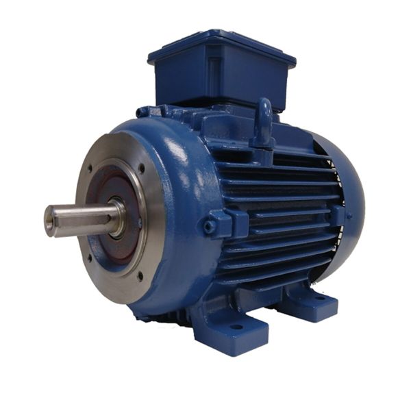 Електродвигун WEG серії W20 0.75 kW 2P 80 3Ph 380В B34T
