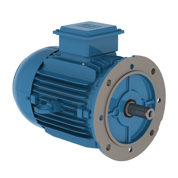 Електродвигун WEG серії W20 0.55 kW 6P L80 3Ph 380В B5T