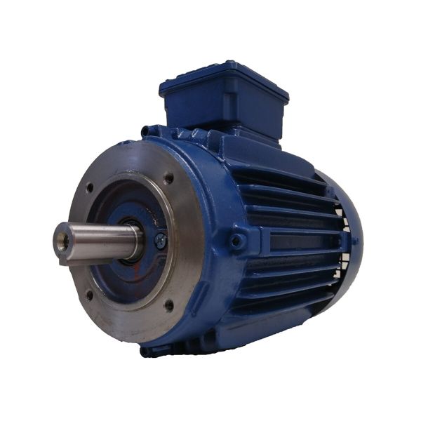 Електродвигун WEG серії W20 0.75 kW 6P 90S/L 3Ph 380В B14T