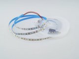 Світлодіодна LED стрічка PROLUM™ 12V; 2835\120; IP20; Series "PRO", Холодний-білий (9000-10000К)