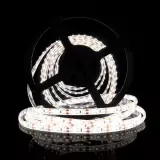 LED лента 12В 2835-120 9Вт 900Лм ST 6000К IP65