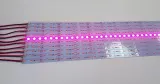 Світлодіодна Фіто лінійка LEDTech 12В 2835-72 20вт IP20 повного спектру