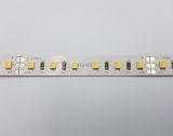 LED лента 24В 3528-96 9Вт 800Лм RD0096BC-B CCT WW-CW 2700K-6500K IP33